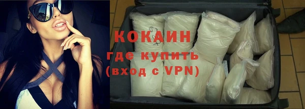 шишки Приозерск