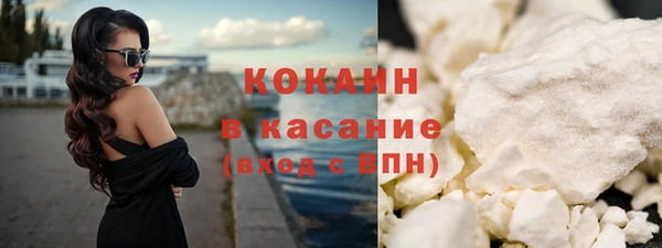шишки Приозерск