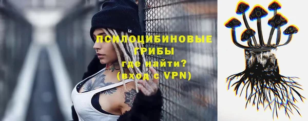 мет Аркадак