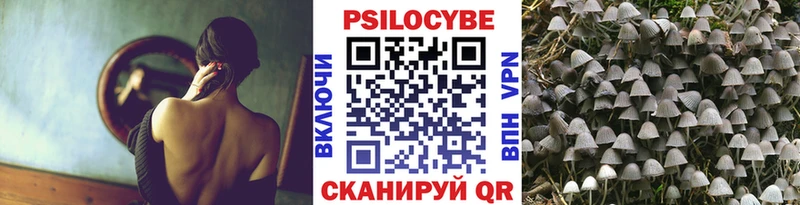 ссылка на мегу   Тутаев  Псилоцибиновые грибы Psilocybine cubensis 